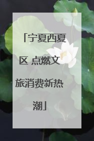 宁夏西夏区 点燃文旅消费新热潮