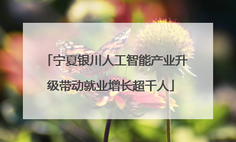 宁夏银川人工智能产业升级带动就业增长超千人