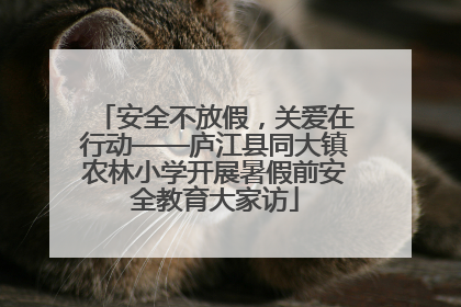 安全不放假，关爱在行动——庐江县同大镇农林小学开展暑假前安全教育大家访
