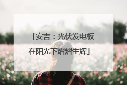 安吉：光伏发电板在阳光下熠熠生辉