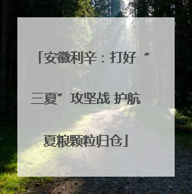 安徽利辛：打好“三夏”攻坚战 护航夏粮颗粒归仓