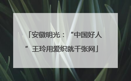 安徽明光：“中国好人”王玲用爱织就千张网