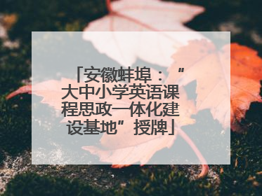 安徽蚌埠：“大中小学英语课程思政一体化建设基地”授牌
