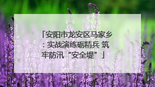 安阳市龙安区马家乡：实战演练砺精兵 筑牢防汛“安全堤”