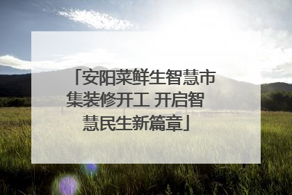 安阳菜鲜生智慧市集装修开工 开启智慧民生新篇章