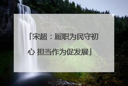 宋超：履职为民守初心 担当作为促发展