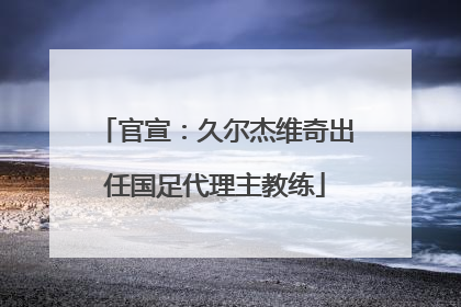 官宣：久尔杰维奇出任国足代理主教练