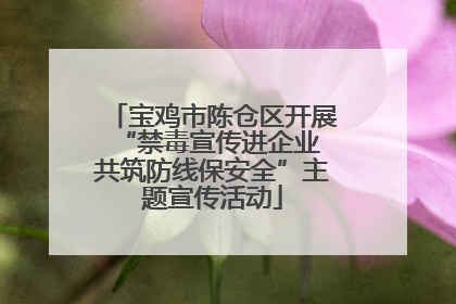 宝鸡市陈仓区开展“禁毒宣传进企业 共筑防线保安全”主题宣传活动