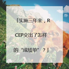 实施三年来，RCEP交出了怎样的“成绩单”？