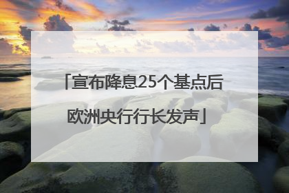 宣布降息25个基点后 欧洲央行行长发声