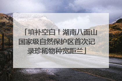 填补空白！湖南八面山国家级自然保护区首次记录珍稀物种宽距兰