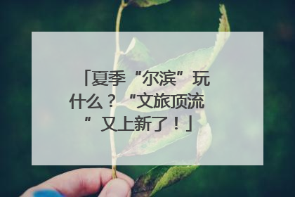 夏季“尔滨”玩什么？“文旅顶流”又上新了！