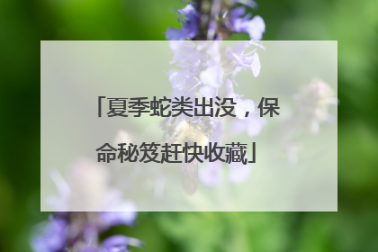 夏季蛇类出没，保命秘笈赶快收藏