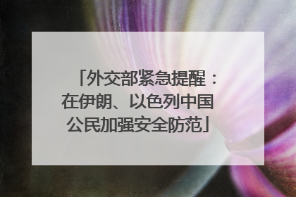 外交部紧急提醒：在伊朗、以色列中国公民加强安全防范