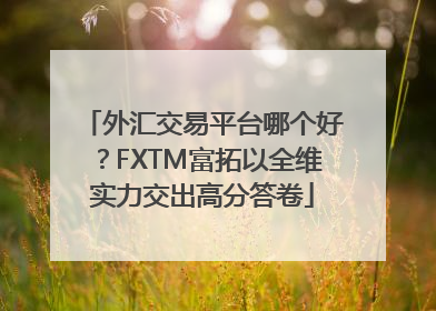 外汇交易平台哪个好？FXTM富拓以全维实力交出高分答卷