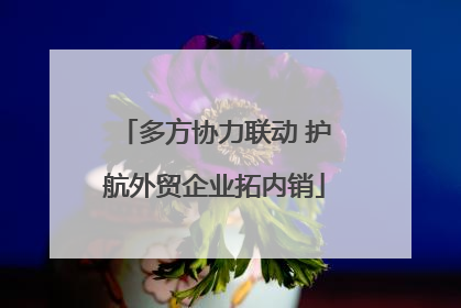 多方协力联动 护航外贸企业拓内销