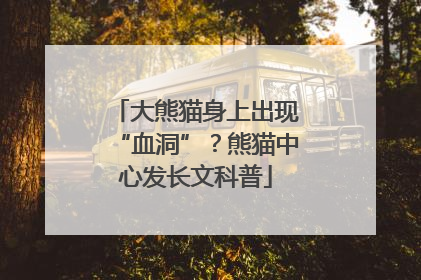 大熊猫身上出现“血洞”？熊猫中心发长文科普
