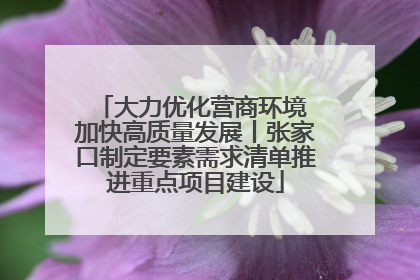 大力优化营商环境 加快高质量发展丨张家口制定要素需求清单推进重点项目建设