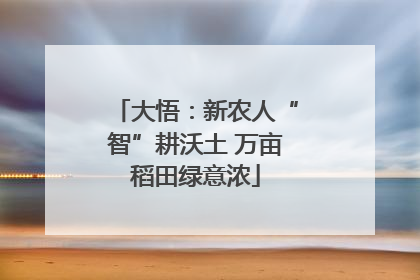 大悟：新农人“智”耕沃土 万亩稻田绿意浓