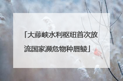 大藤峡水利枢纽首次放流国家濒危物种唇鲮