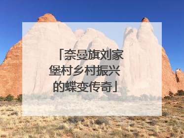 奈曼旗刘家堡村乡村振兴的蝶变传奇