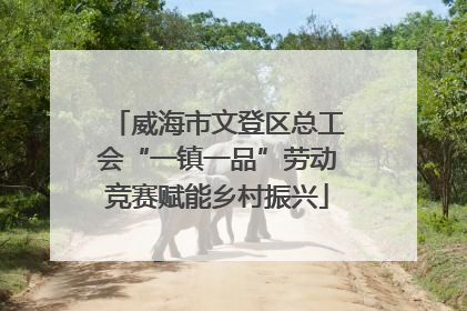 威海市文登区总工会“一镇一品”劳动竞赛赋能乡村振兴
