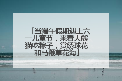 当端午假期遇上六一儿童节，来看大熊猫吃粽子，赏绣球花和马鞭草花海