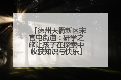 德州天衢新区宋官屯街道：研学之旅让孩子在探索中收获知识与快乐