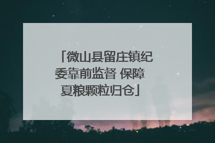 微山县留庄镇纪委靠前监督 保障夏粮颗粒归仓