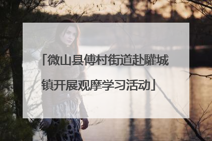 微山县傅村街道赴驩城镇开展观摩学习活动