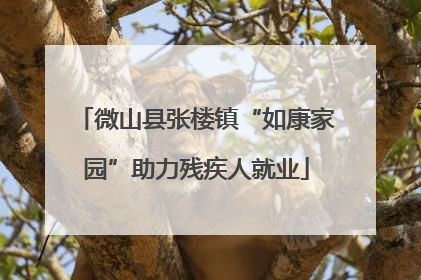 微山县张楼镇“如康家园”助力残疾人就业