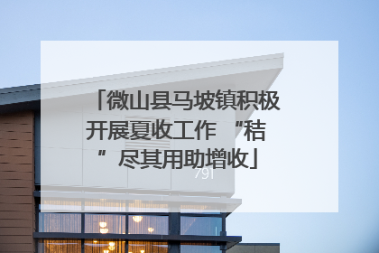 微山县马坡镇积极开展夏收工作 “秸”尽其用助增收