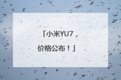 小米YU7，价格公布！