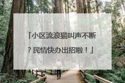 小区流浪猫叫声不断？民情快办出招啦！