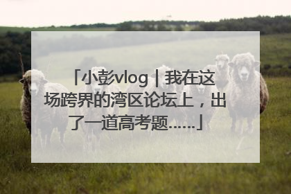 小彭vlog｜我在这场跨界的湾区论坛上，出了一道高考题……