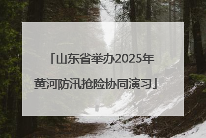 山东省举办2025年黄河防汛抢险协同演习