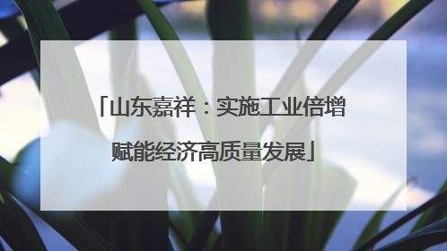 山东嘉祥：实施工业倍增 赋能经济高质量发展