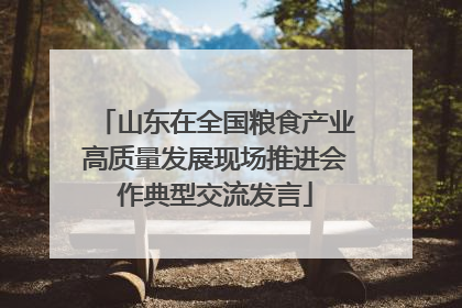 山东在全国粮食产业高质量发展现场推进会作典型交流发言