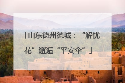 山东德州德城：“解忧花”邂逅“平安伞”