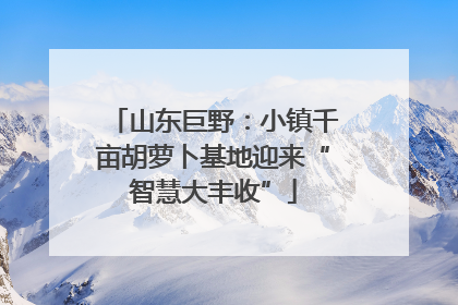 山东巨野：小镇千亩胡萝卜基地迎来“智慧大丰收”