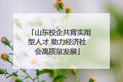 山东校企共育实用型人才 助力经济社会高质量发展