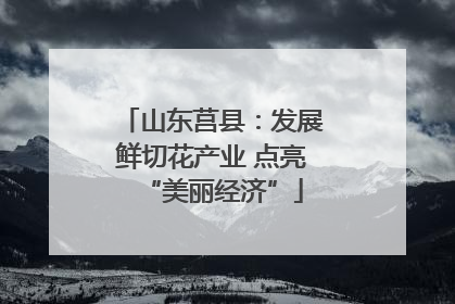 山东莒县：发展鲜切花产业 点亮“美丽经济”