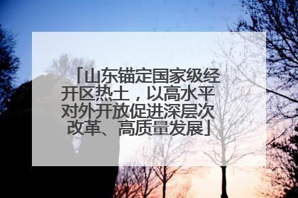 山东锚定国家级经开区热土，以高水平对外开放促进深层次改革、高质量发展