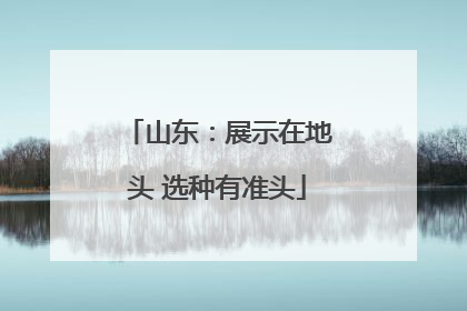 山东：展示在地头 选种有准头