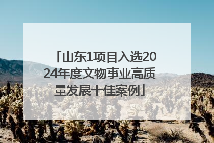 山东1项目入选2024年度文物事业高质量发展十佳案例