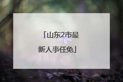 山东2市最新人事任免