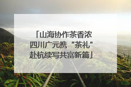 山海协作茶香浓 四川广元携“茶礼”赴杭续写共富新篇