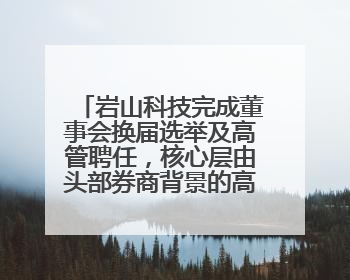 岩山科技完成董事会换届选举及高管聘任，核心层由头部券商背景的高管掌控