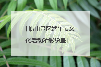 崂山景区端午节文化活动精彩纷呈