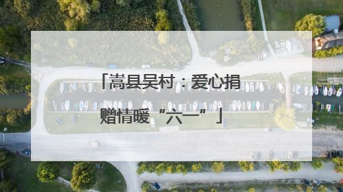 嵩县吴村：爱心捐赠情暖“六一”